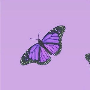 Meet your Posher, Cayla